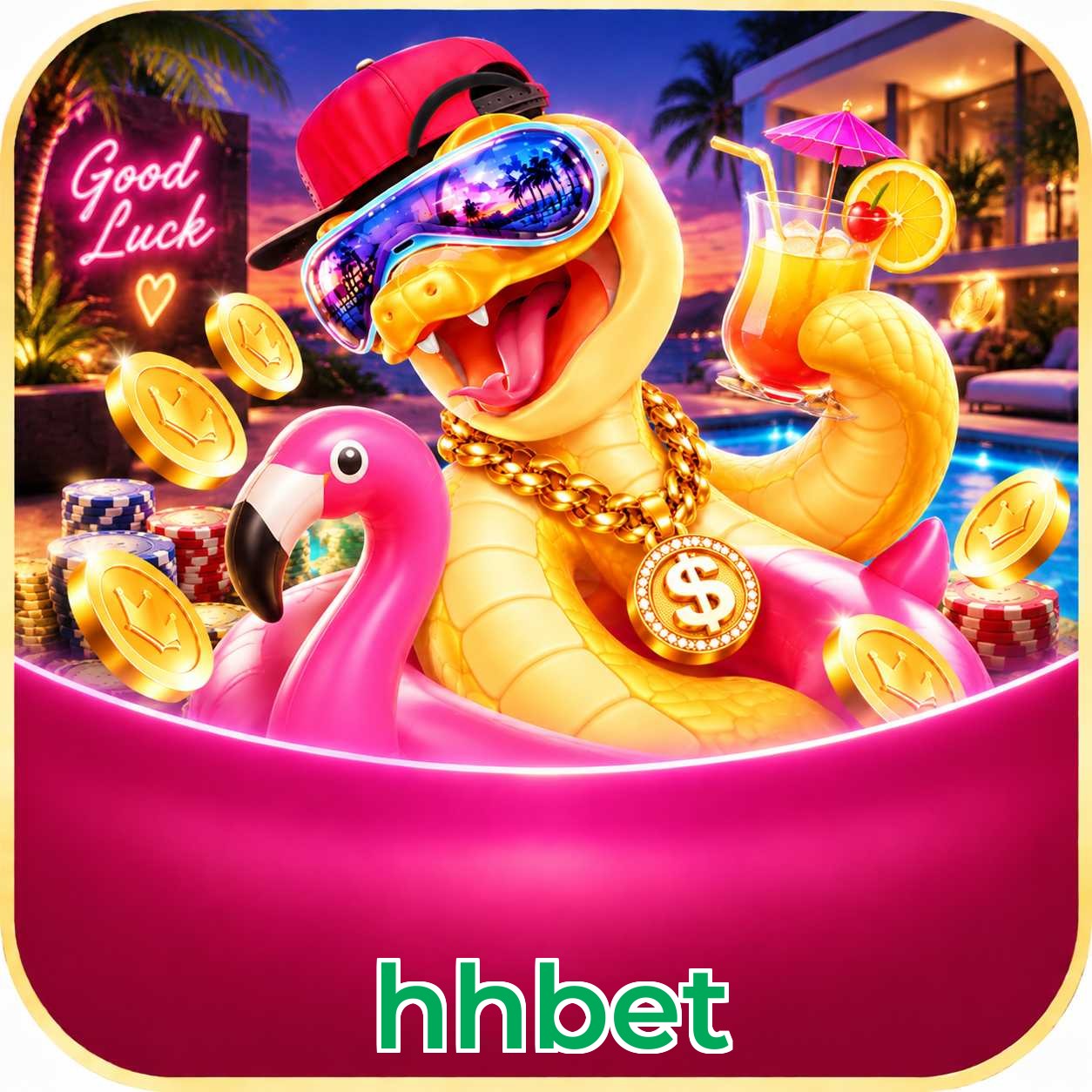hhbet App vs Web